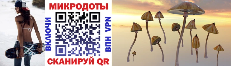 Галлюциногенные грибы мухоморы  Купить где  Жуковка 